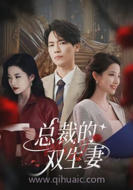 总裁的双生妻