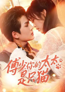 傅少,你的太太是只猫
