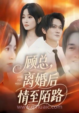 顾总,离婚后情至陌路